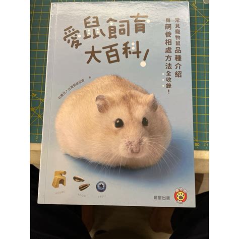 寵物老鼠種類|愛鼠飼育大百科：常見寵物鼠品種介紹與飼養相處方法。